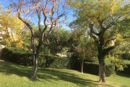 Cassis 4Pers Vue Mer Wifi Tennis Parking Piscine Dış mekan fotoğraf